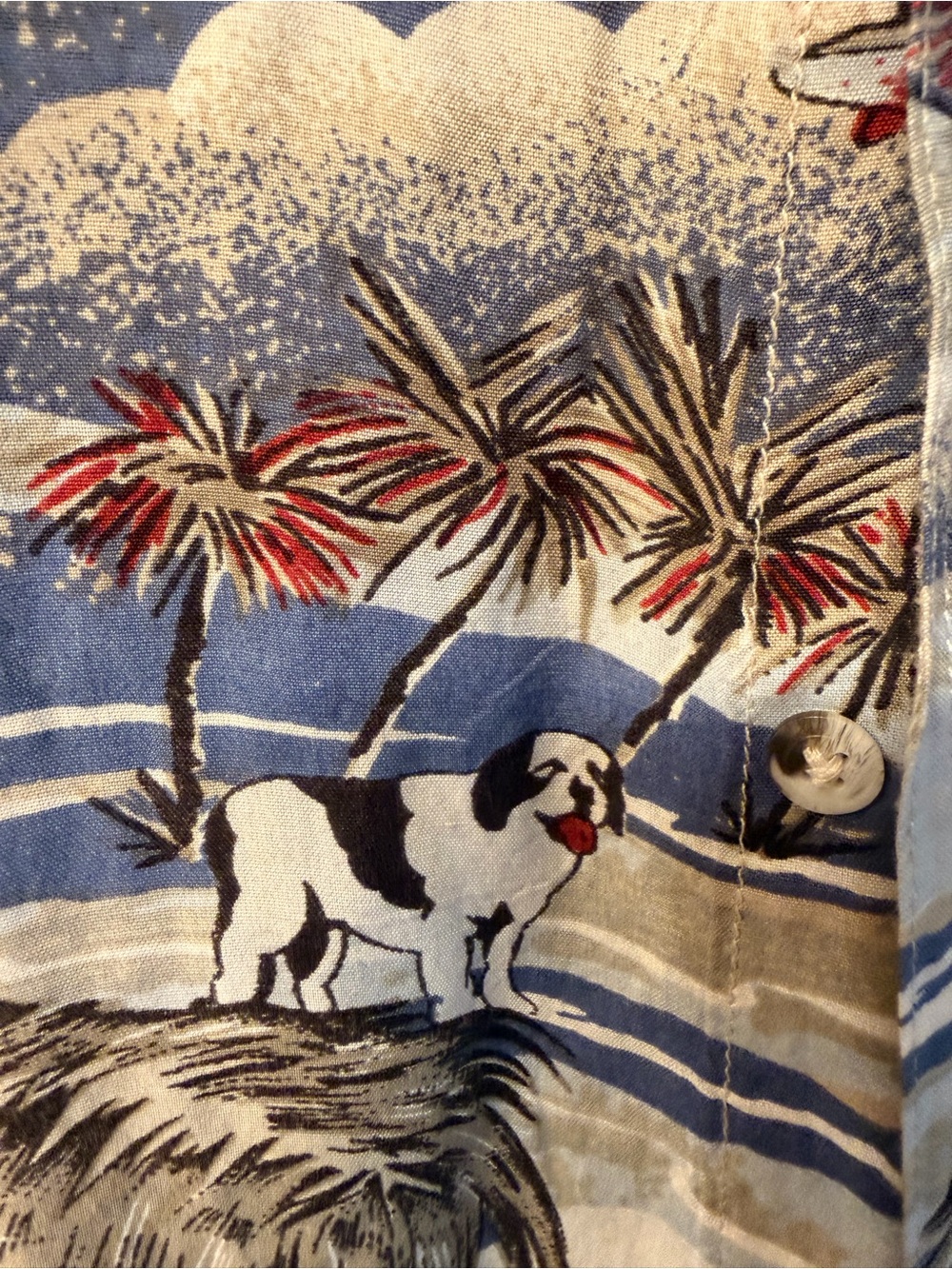 Vintage Big Dogs "Air Big Dogs" All Over Print Rayon Hawaiian Camp Shirt
Men's L - Picture 7 of 11